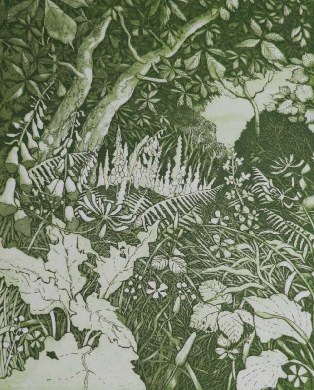 Wood Interior I